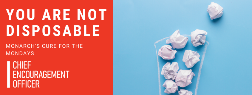 YOU ARE NOT DISPOSABLE v2