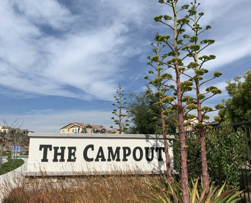 The Campout