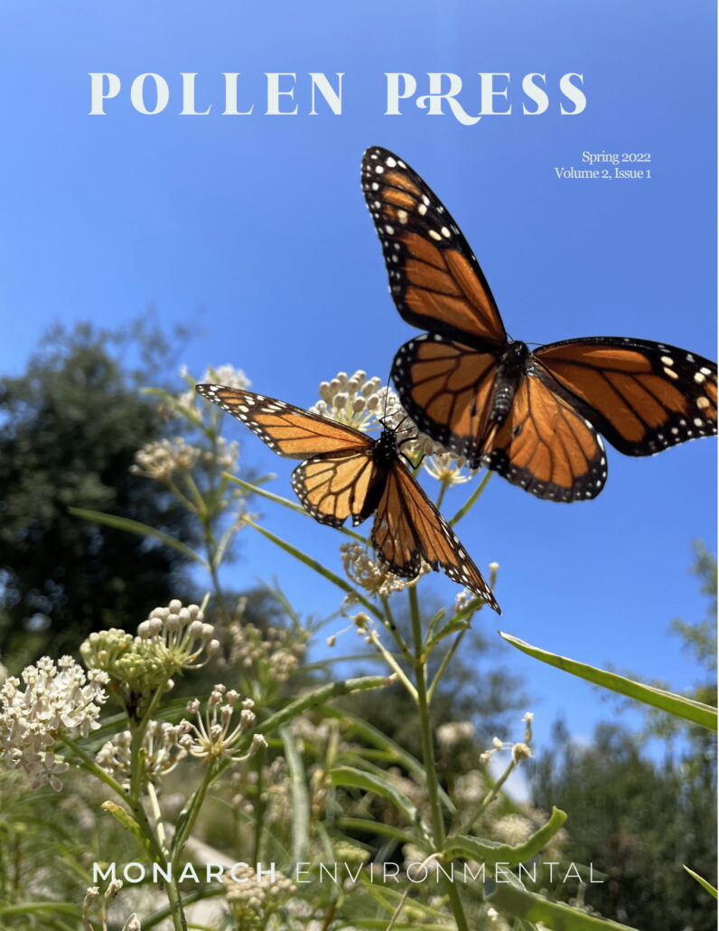 Monarch Spring Edition