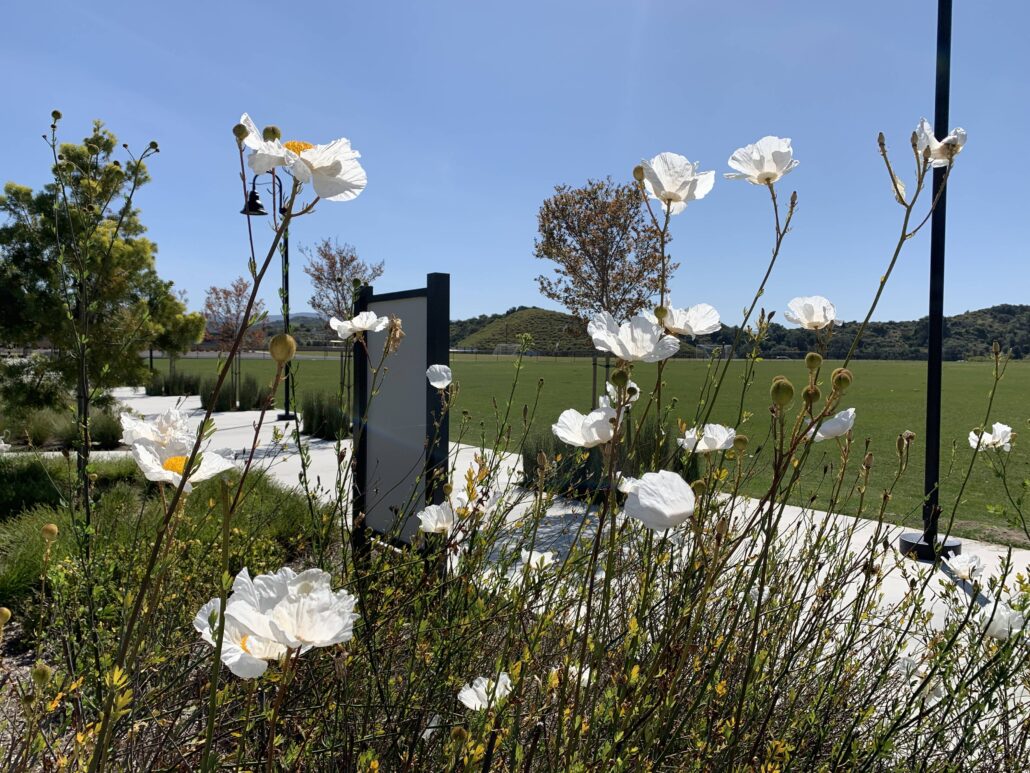 Monarch Irrigation